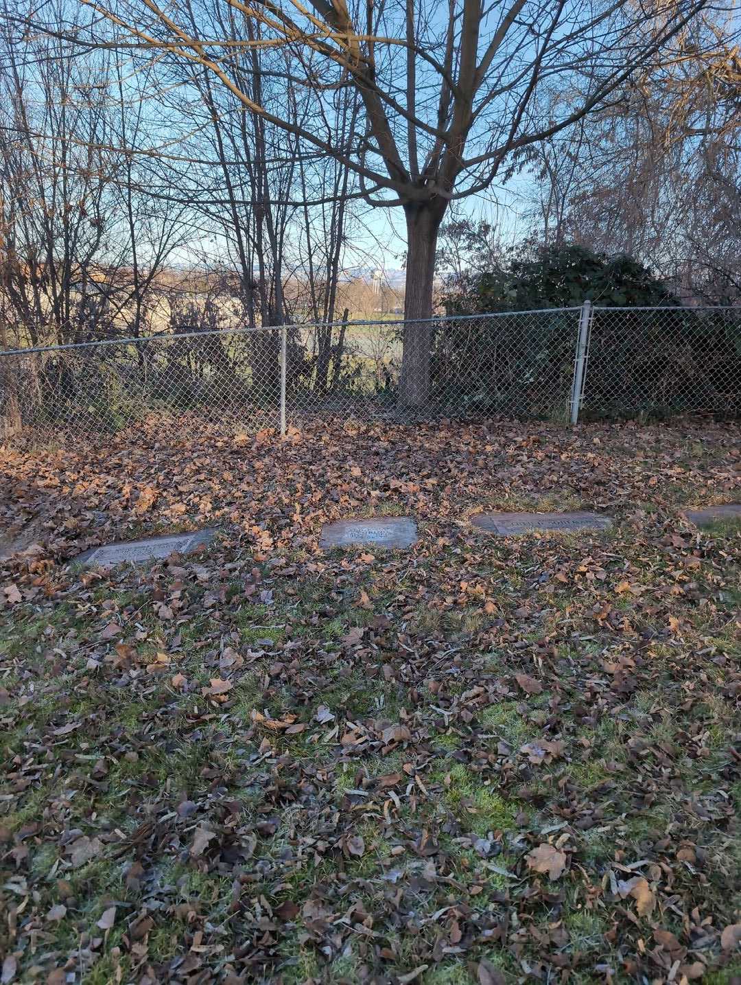 Alice Dae Nehring's grave. Photo 2