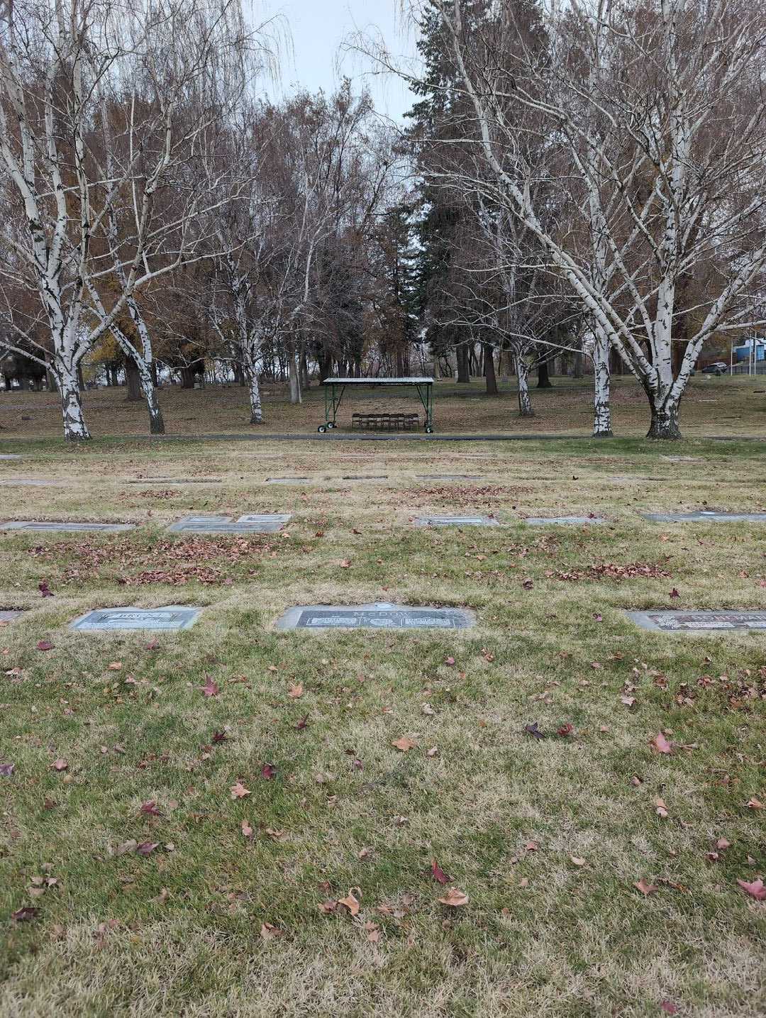 Herbert W. McDow's grave. Photo 2