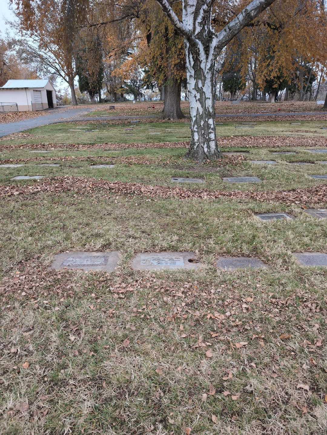 Lillian Flores's grave. Photo 2