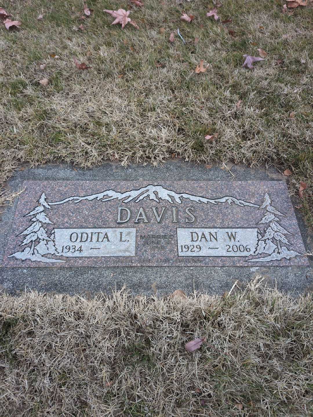 Dan W. Davis's grave. Photo 3