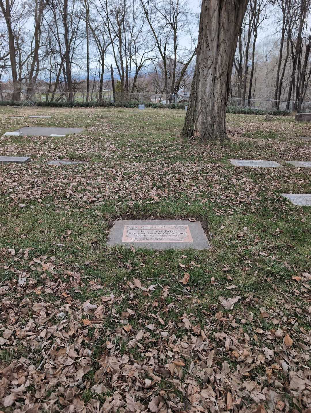 Evelyn Joyce Parks Hartman Lauzon Gretencort's grave. Photo 2