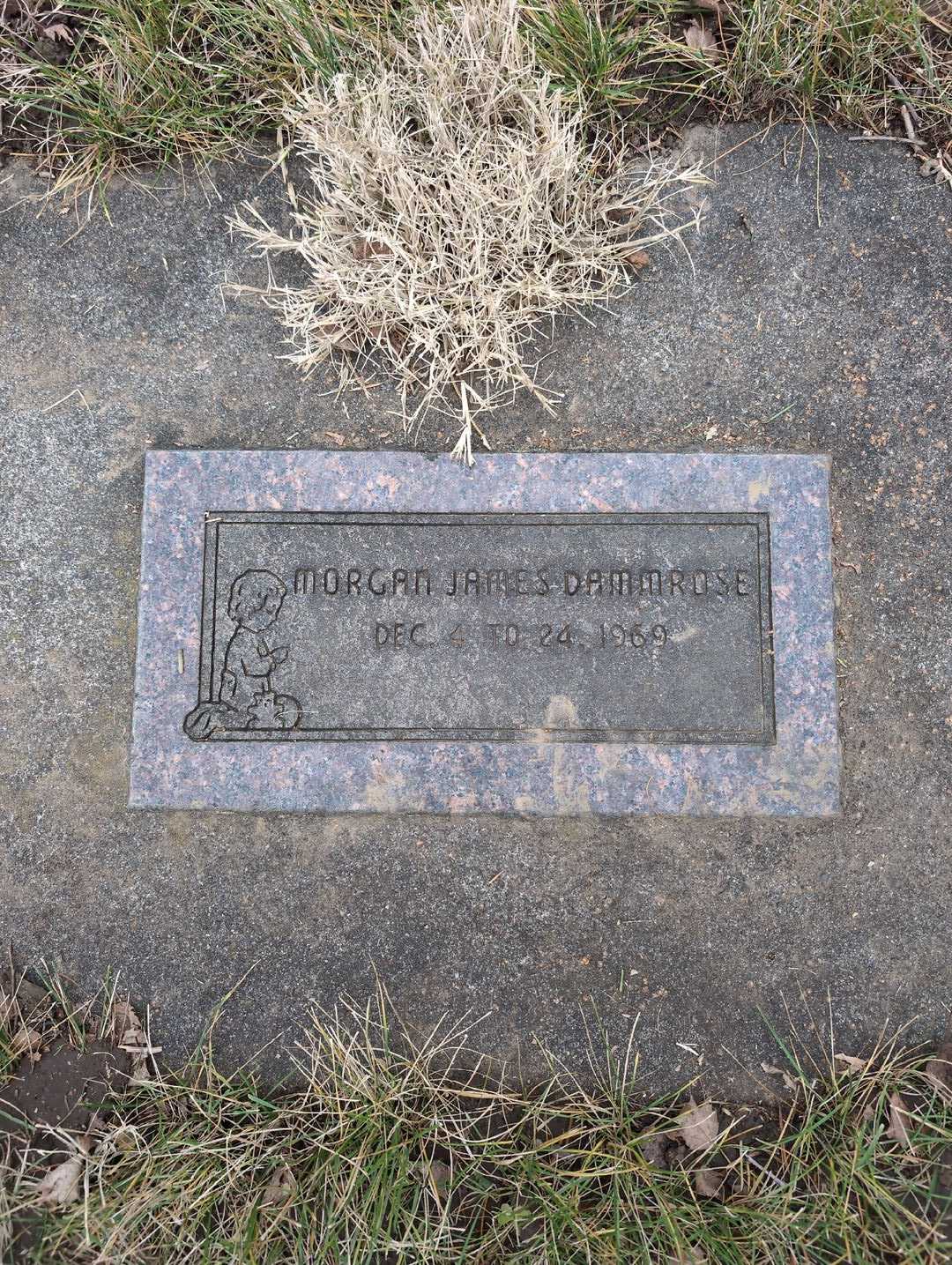 Morgan James Dammrose's grave. Photo 3