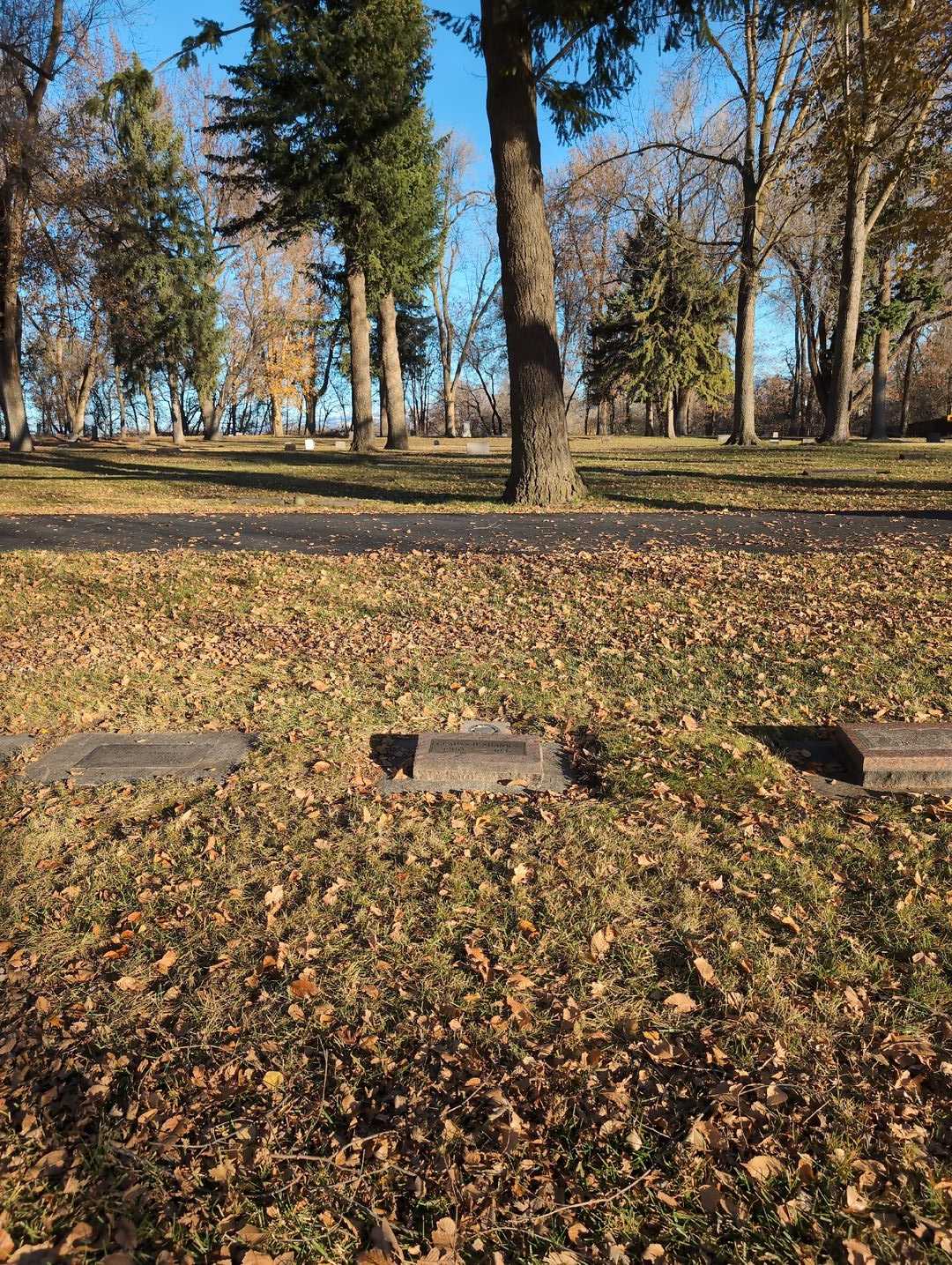 Gladys D. Shankel's grave. Photo 2