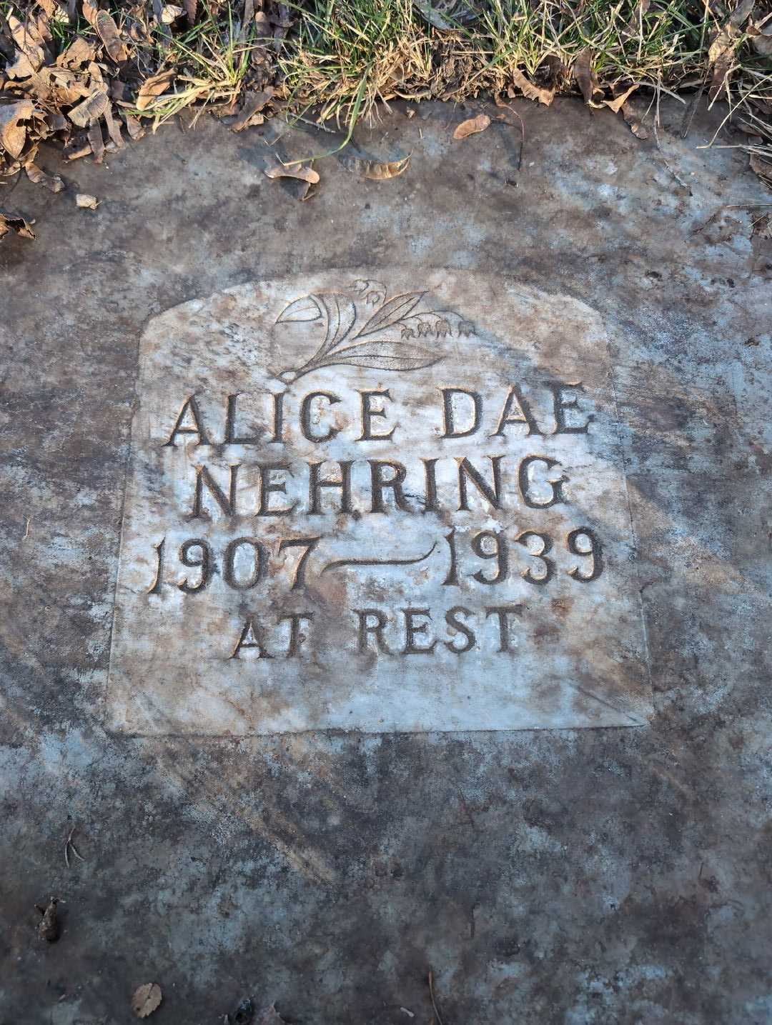 Alice Dae Nehring's grave. Photo 3