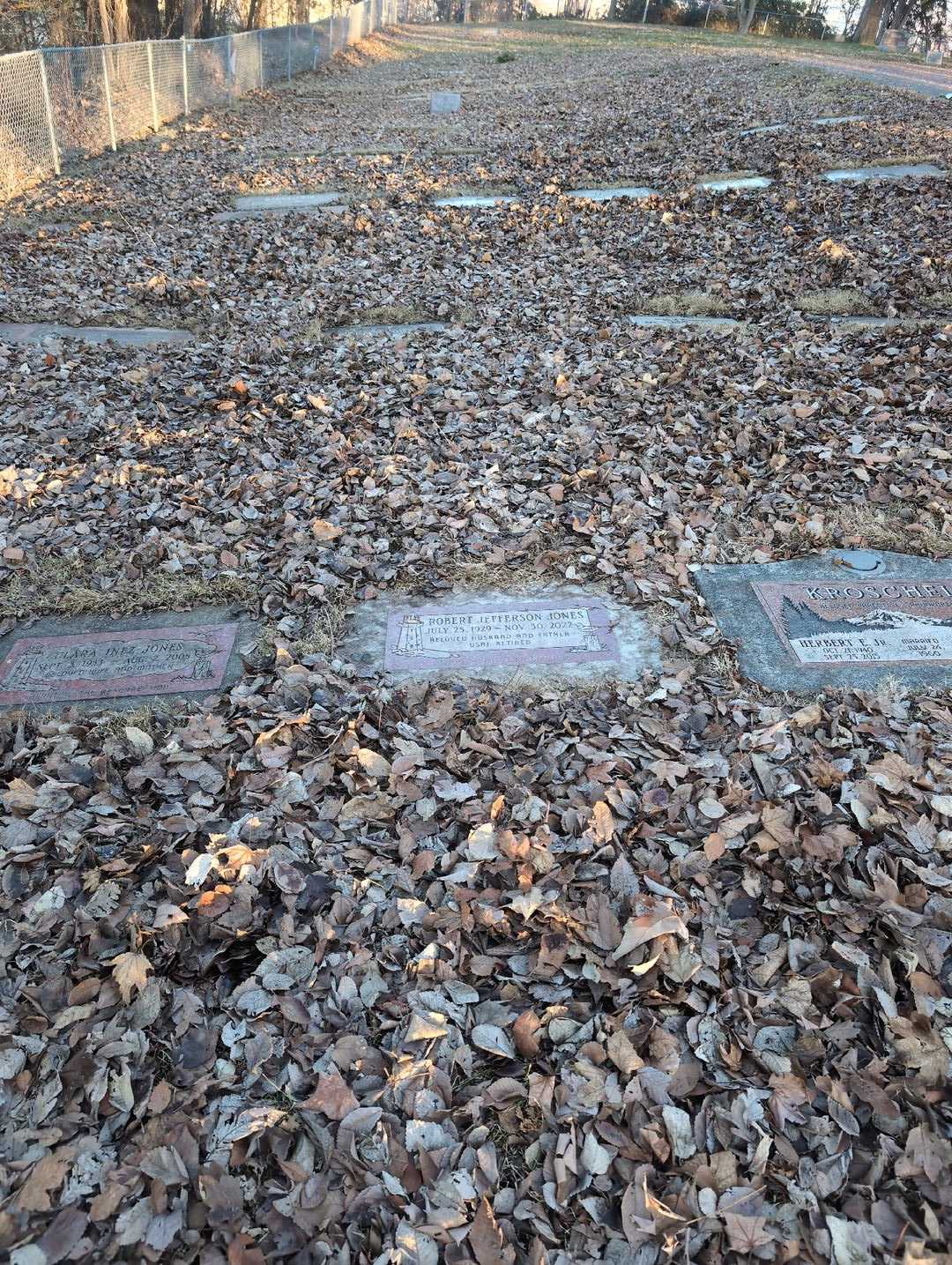 Robert Jefferson Jones's grave. Photo 2