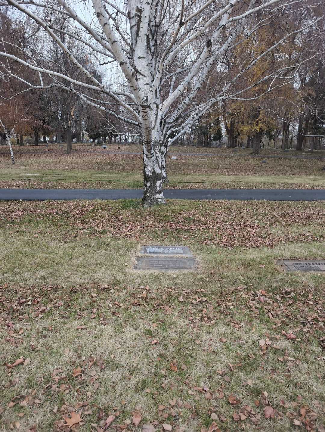 Joyce Allman Miller's grave. Photo 2