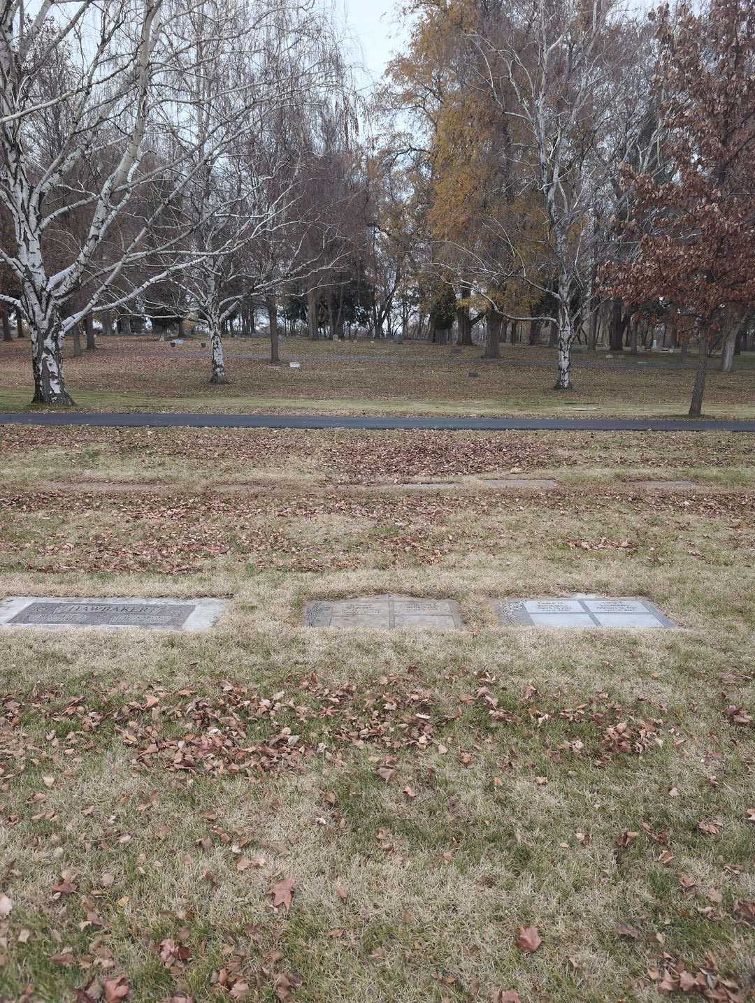 Agnes Dahl's grave. Photo 4