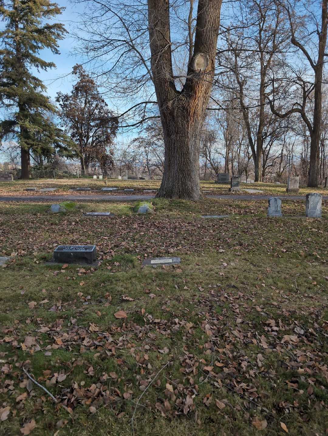 Alvin Jake Eberhardt's grave. Photo 2