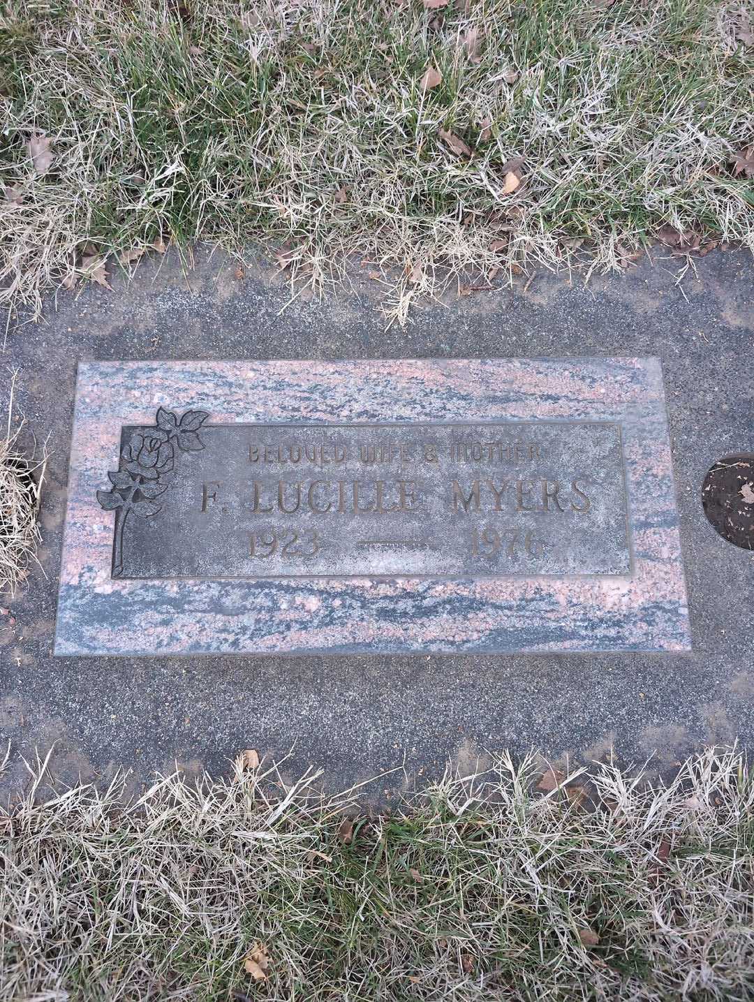 Lena Kabanuk Devnich's grave. Photo 1