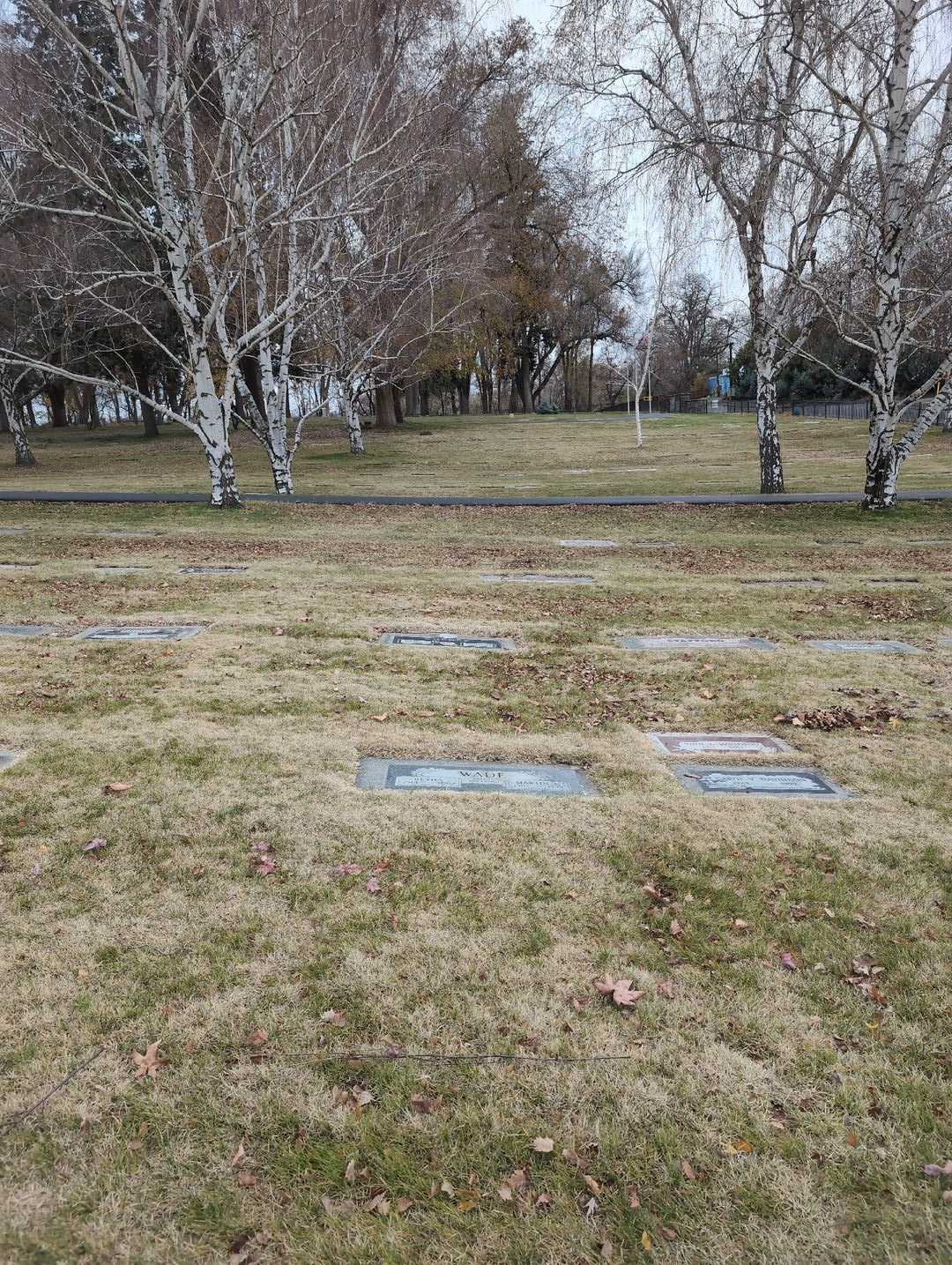 Retha Wade's grave. Photo 2