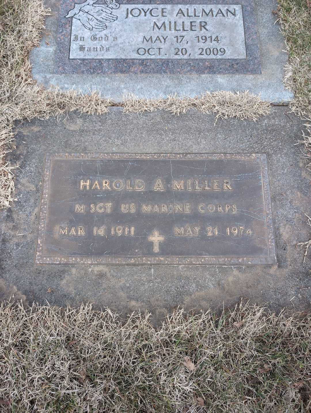 Joyce Allman Miller's grave. Photo 3