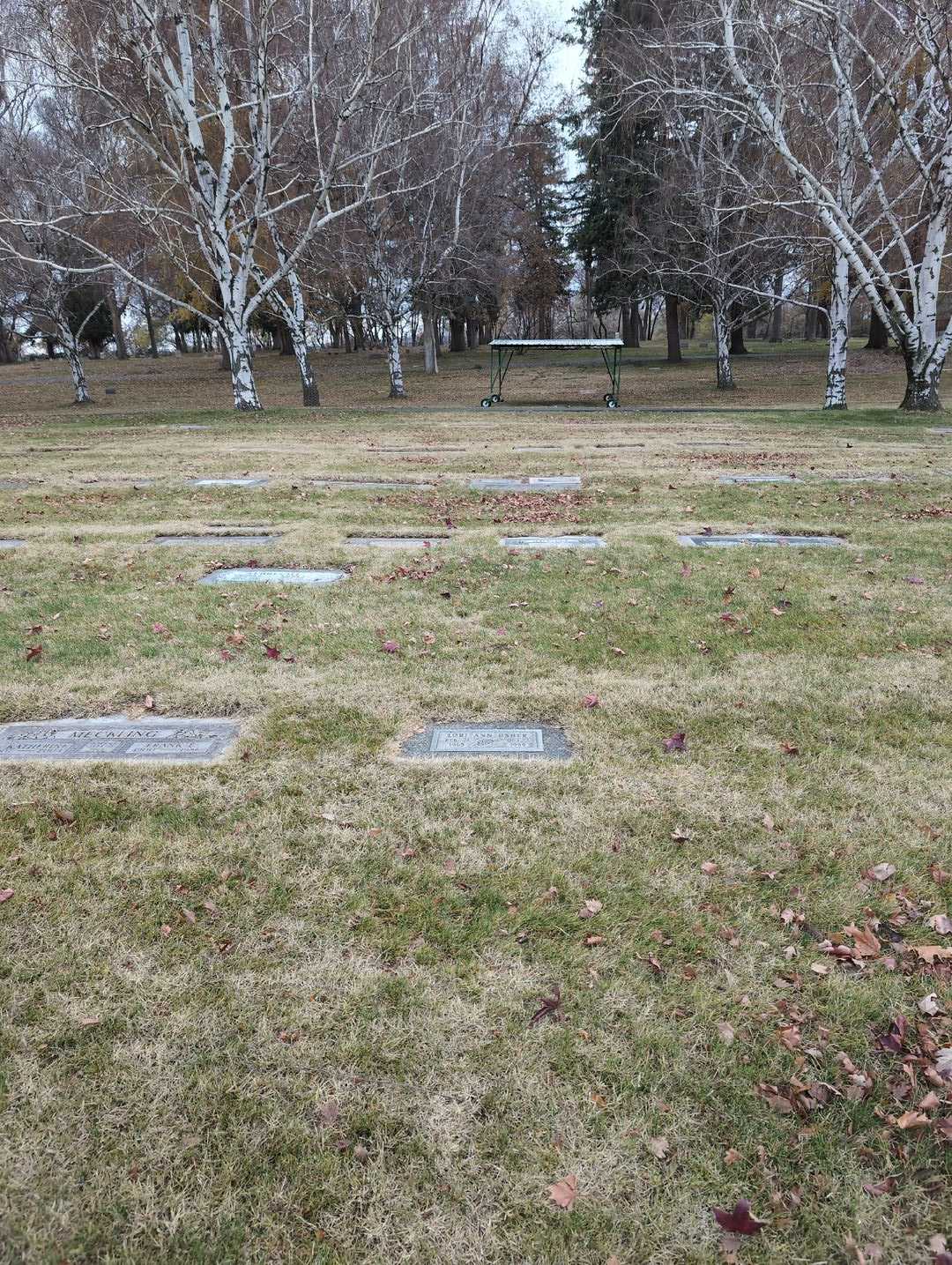 Lori Ann Usher's grave. Photo 2