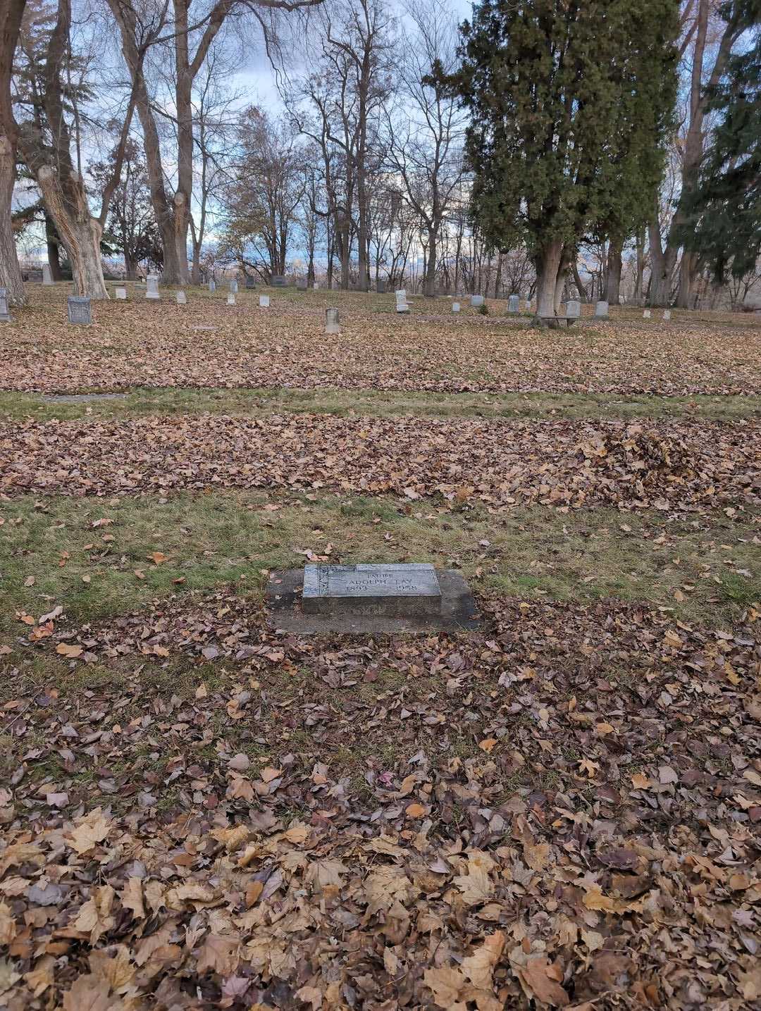 Adolph Lay's grave. Photo 2