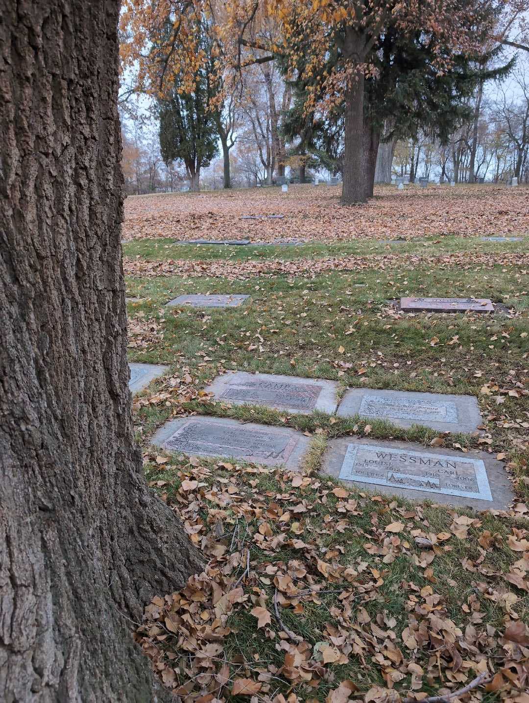 Carl Wessman Junior's grave. Photo 2
