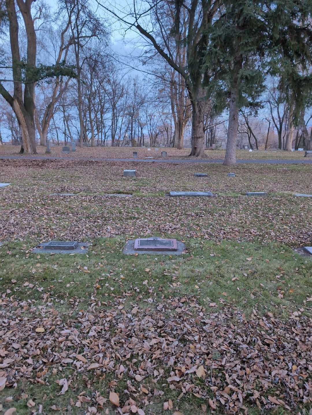 Lela Vernell Wilson's grave. Photo 2
