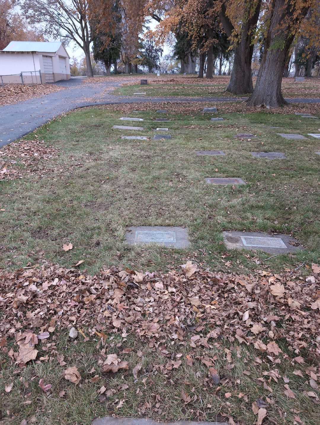Andrew David James's grave. Photo 2
