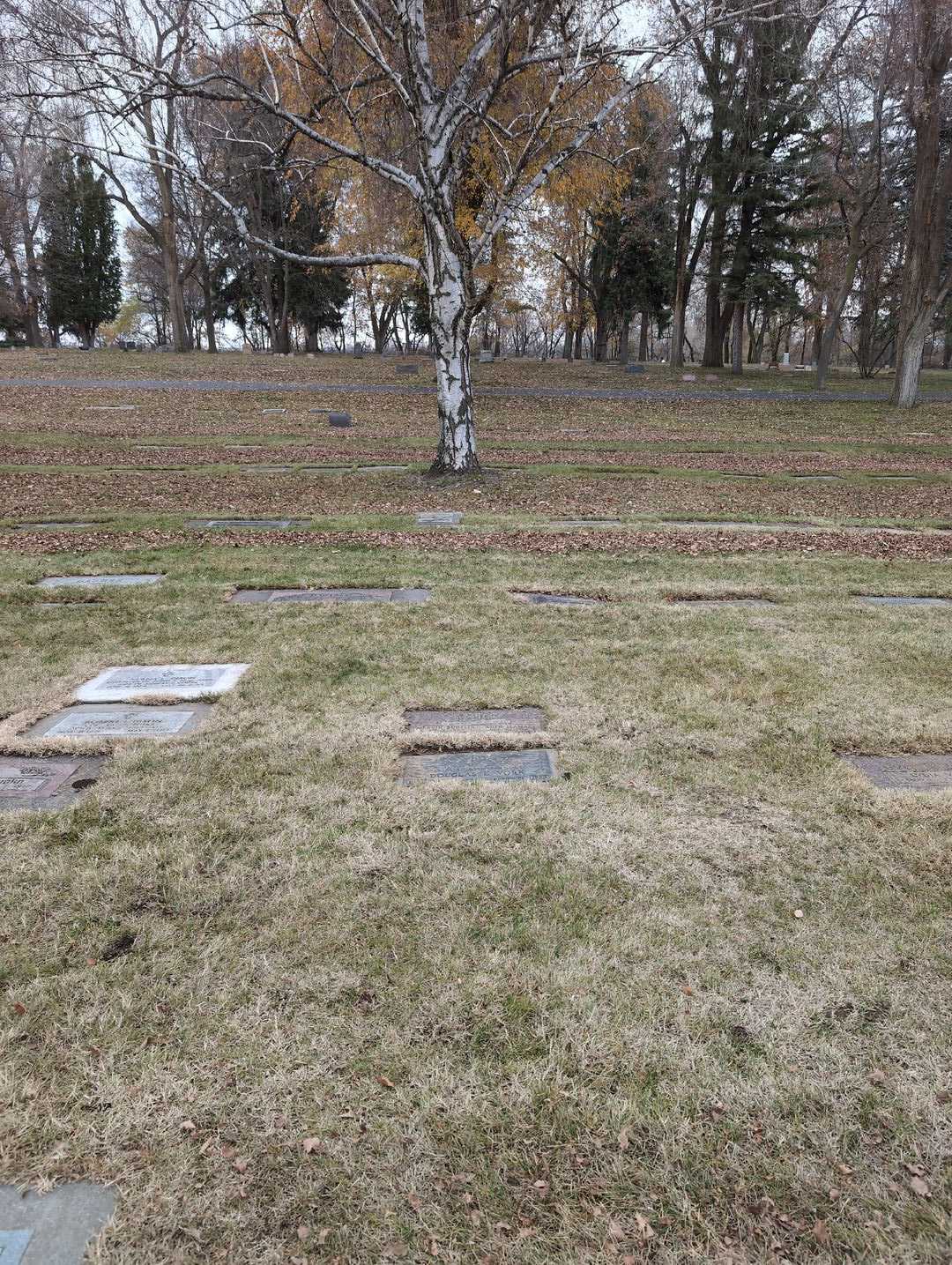 Douglas E. York's grave. Photo 4