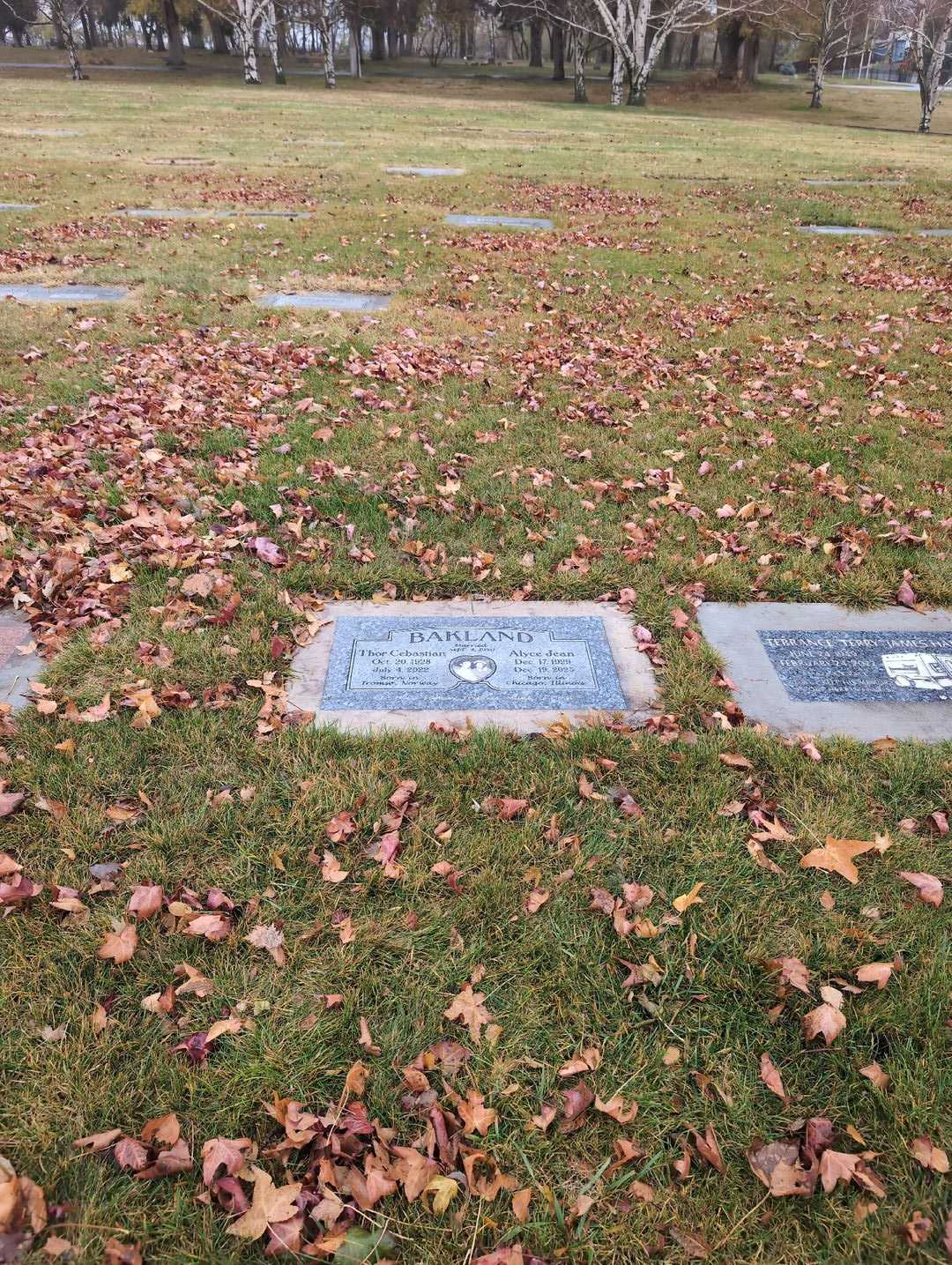 Thor Cebastian Bakland's grave. Photo 2