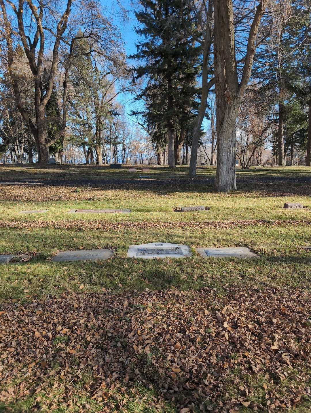 Nathan James Cain's grave. Photo 2