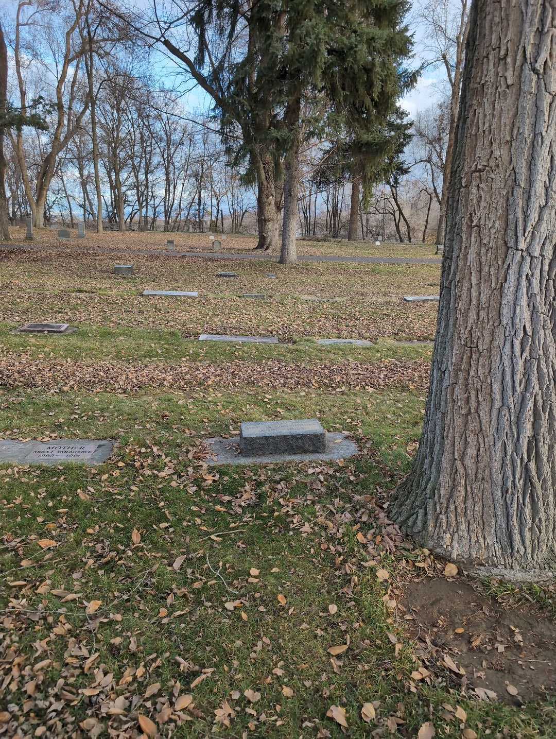 Albert Van Ausdle's grave. Photo 2