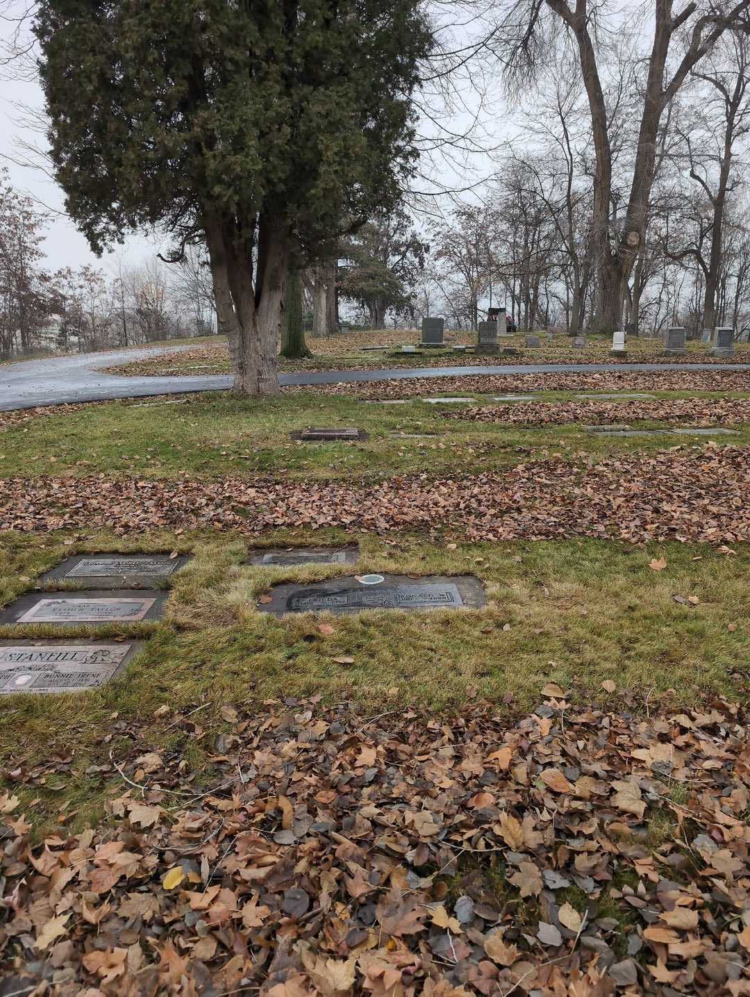 Esther Taylor's grave. Photo 2