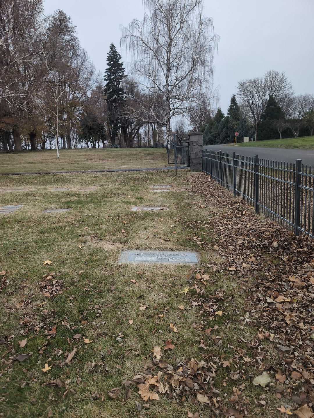 Naomi Kathleen Shoemaker's grave. Photo 2