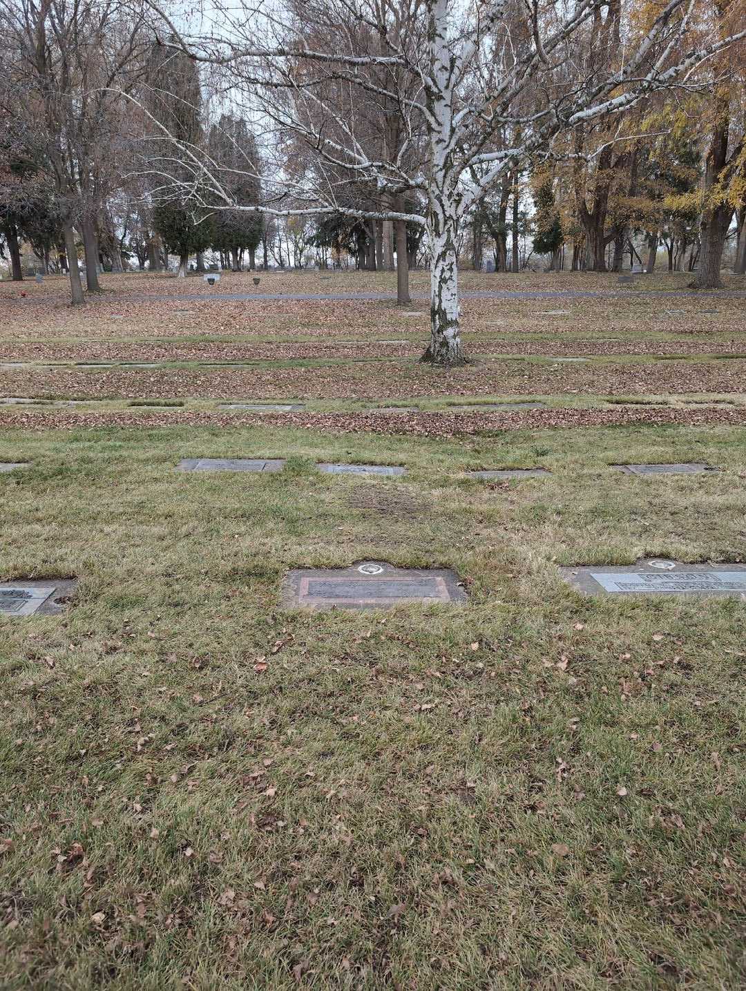 Cheryl Lynne Farnsworth's grave. Photo 2