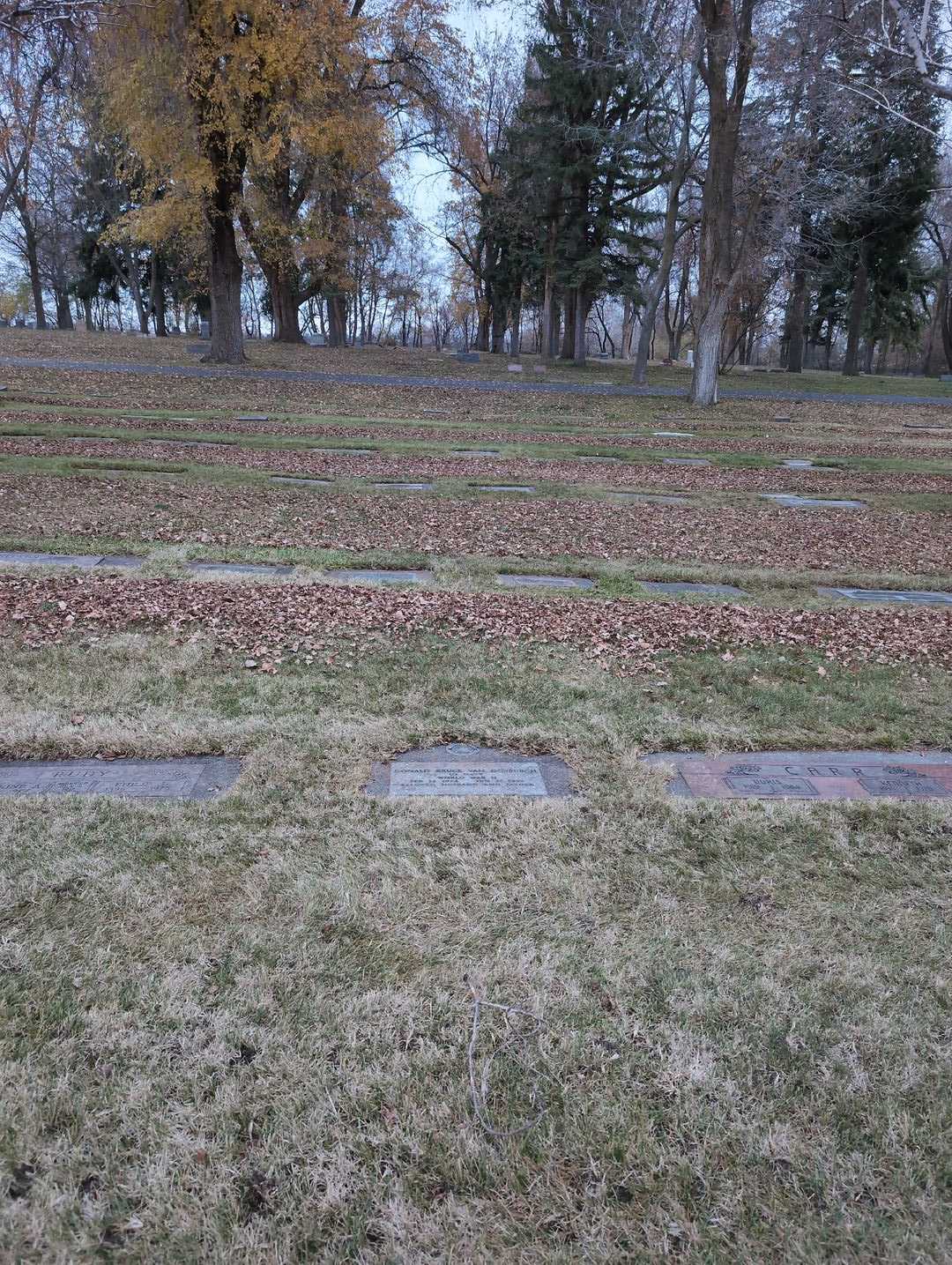 Helen Van Denburgh's grave. Photo 2