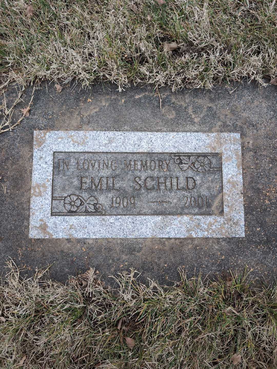 Emil Schild's grave. Photo 3