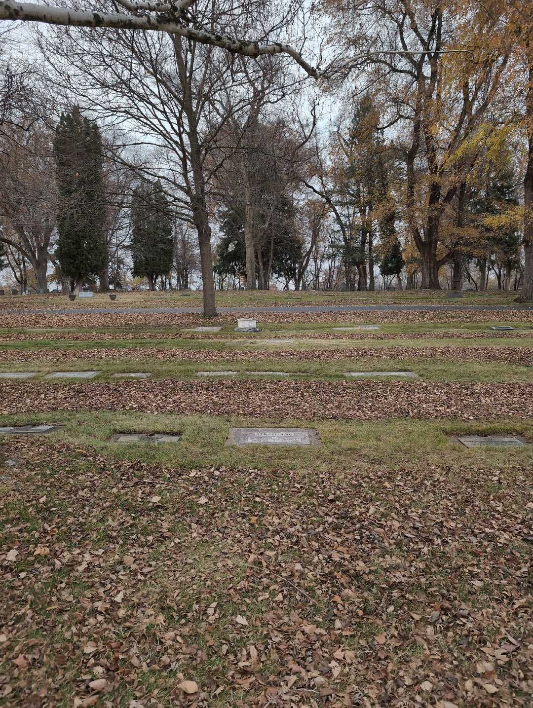 Grace E. Streifling's grave. Photo 2