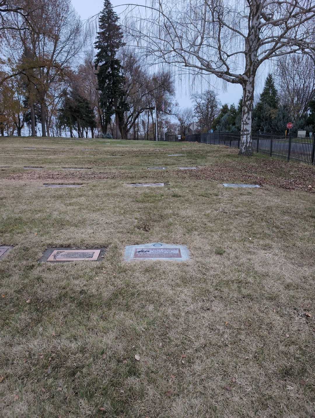 Edwin O. Johnson's grave. Photo 2