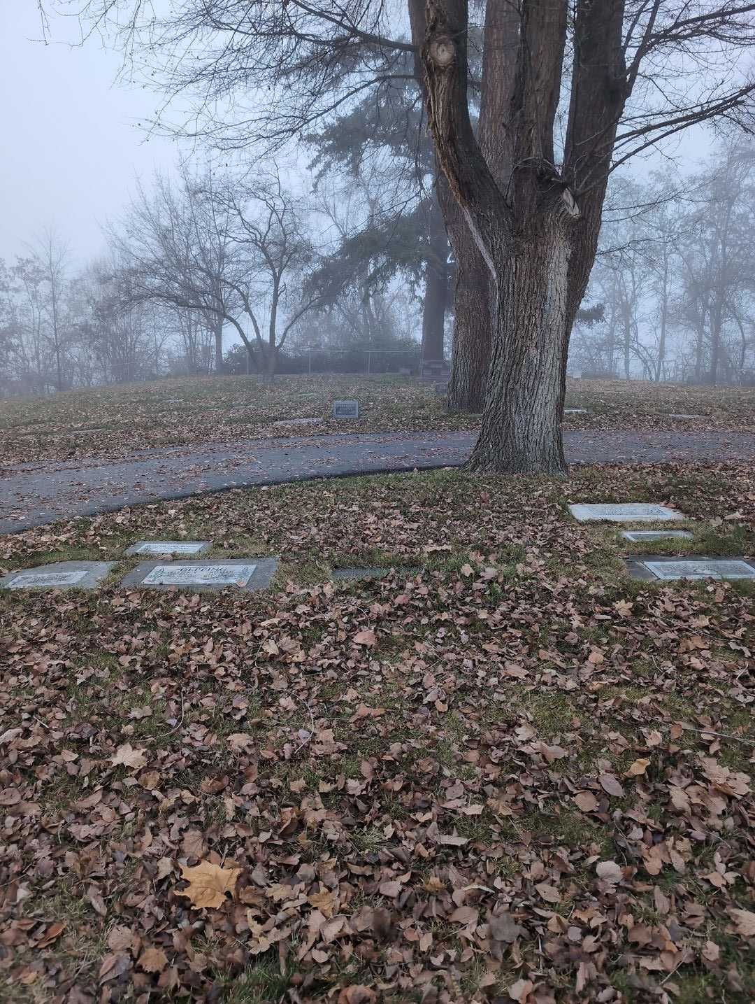 Joseph B. Kaylor's grave. Photo 2