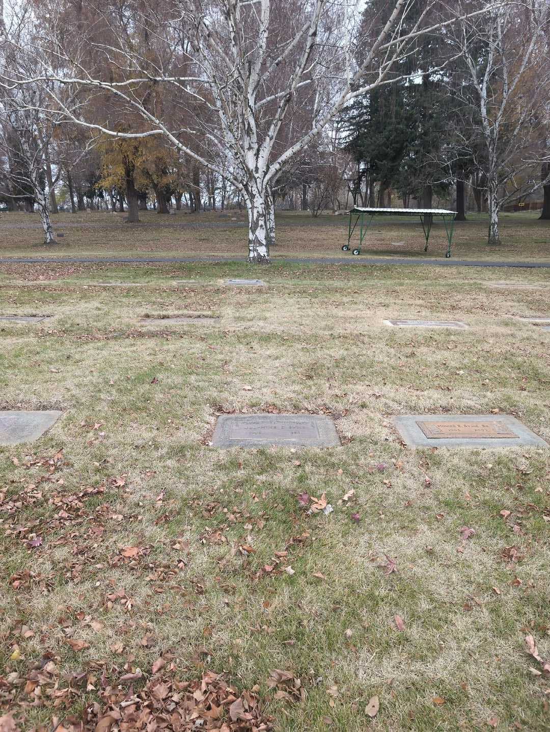 Delphine E. Syme's grave. Photo 2