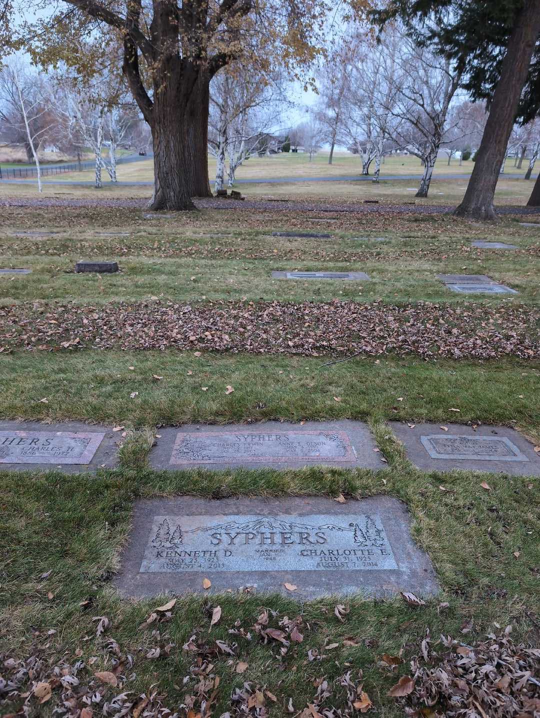 Anne E. Olson Syphers's grave. Photo 2