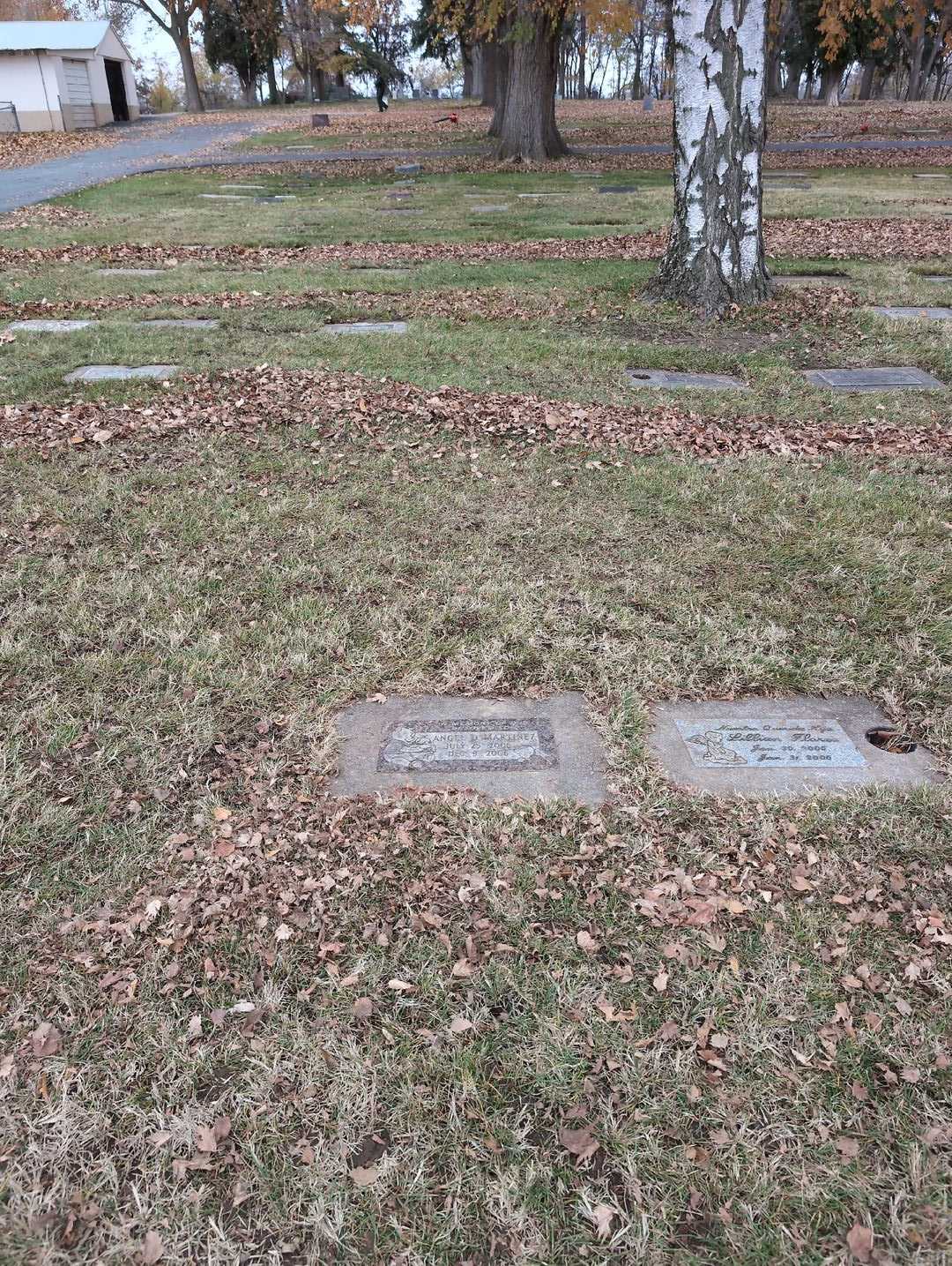 Lillian Flores's grave. Photo 3