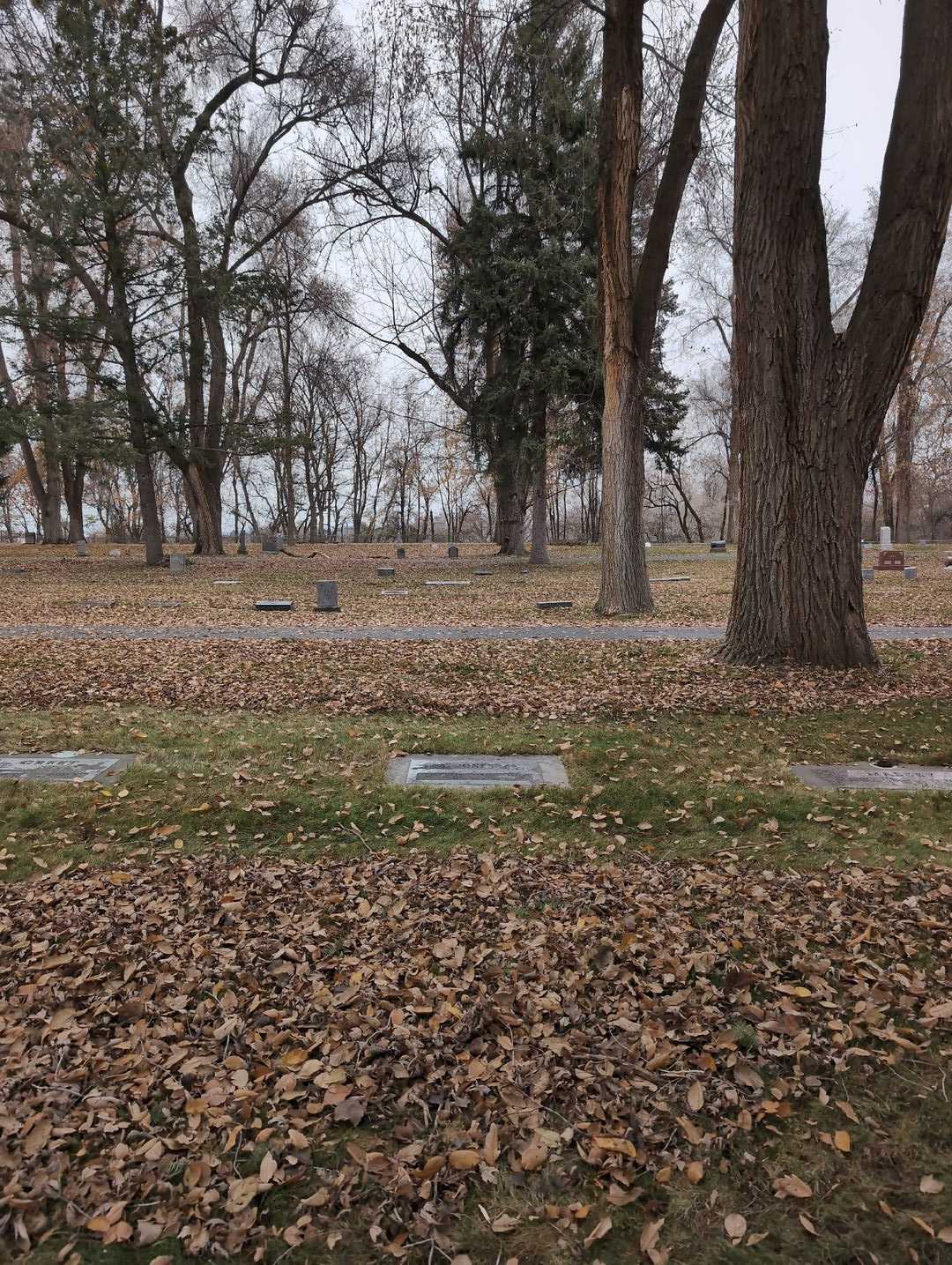 Viola Marie Jones's grave. Photo 2