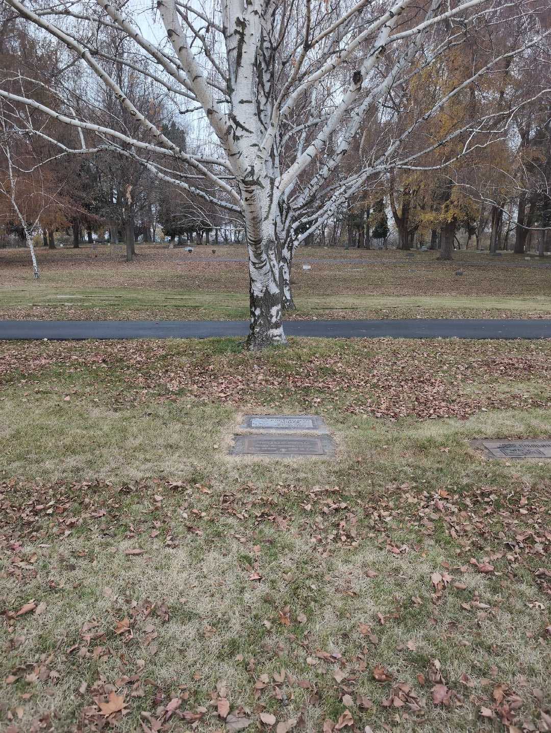 Joyce Allman Miller's grave. Photo 4
