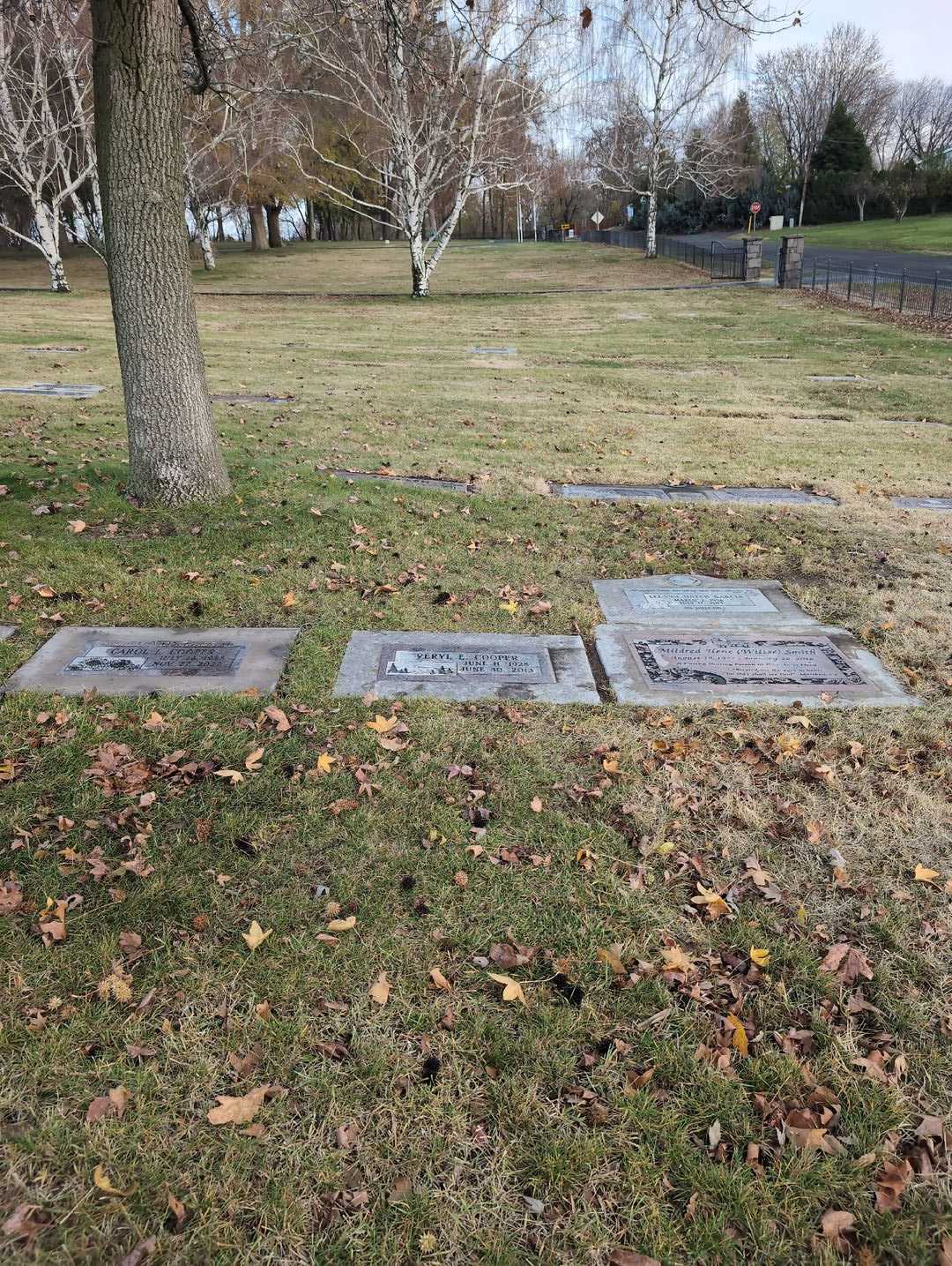 Veryl E. Cooper's grave. Photo 2