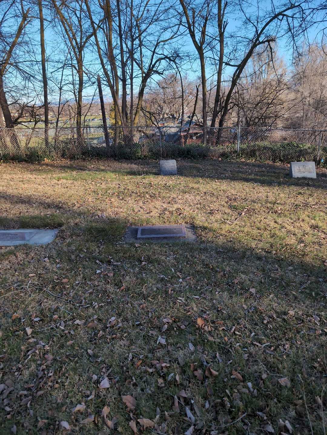 Coy Wilson Fauver's grave. Photo 2