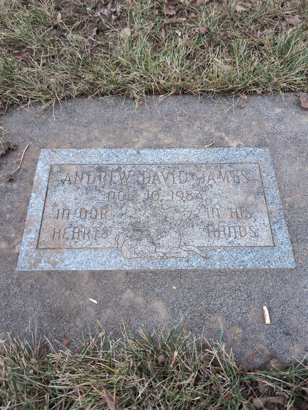 Andrew David James's grave. Photo 3