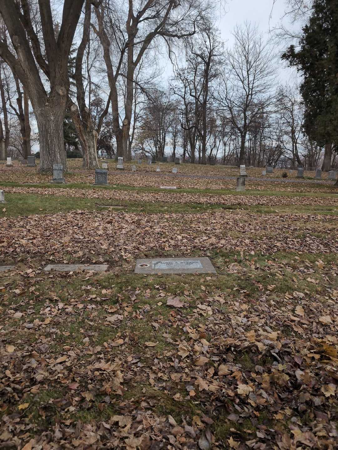 James R. Hawkins's grave. Photo 2