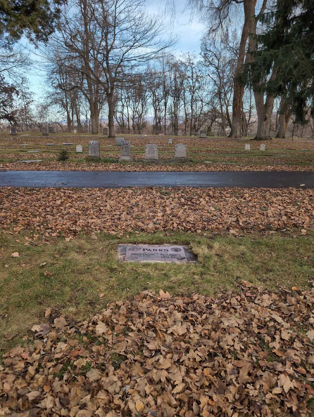 Perry Allen Parks's grave. Photo 2