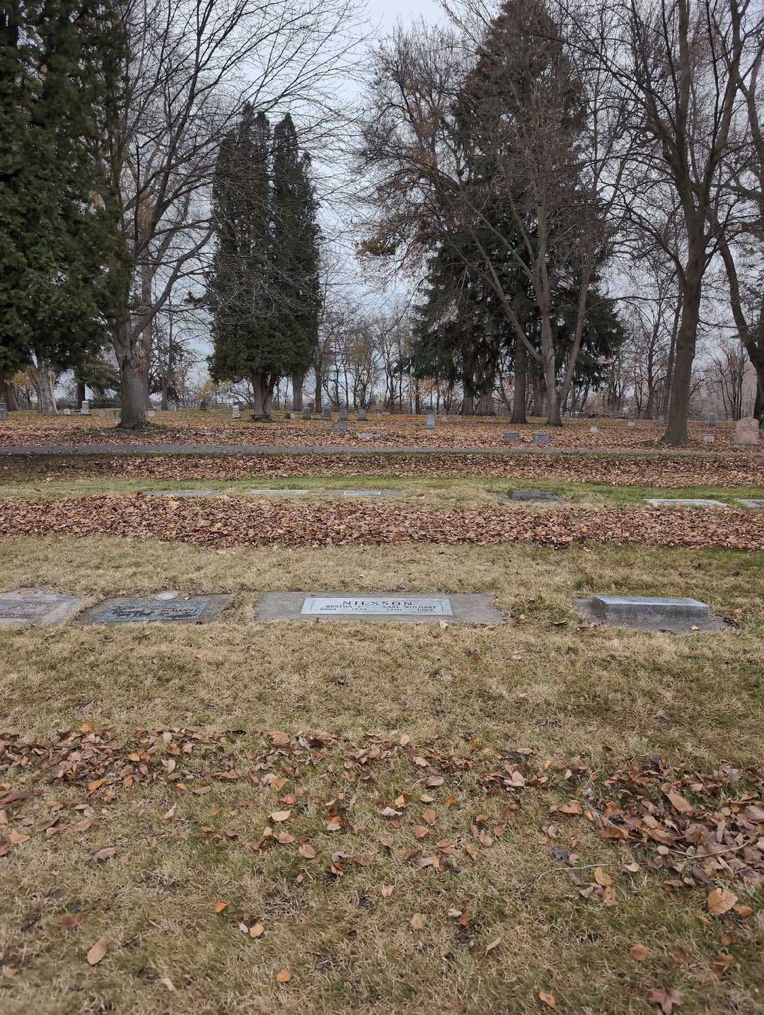 Carl Wolnart Nilsson's grave. Photo 2