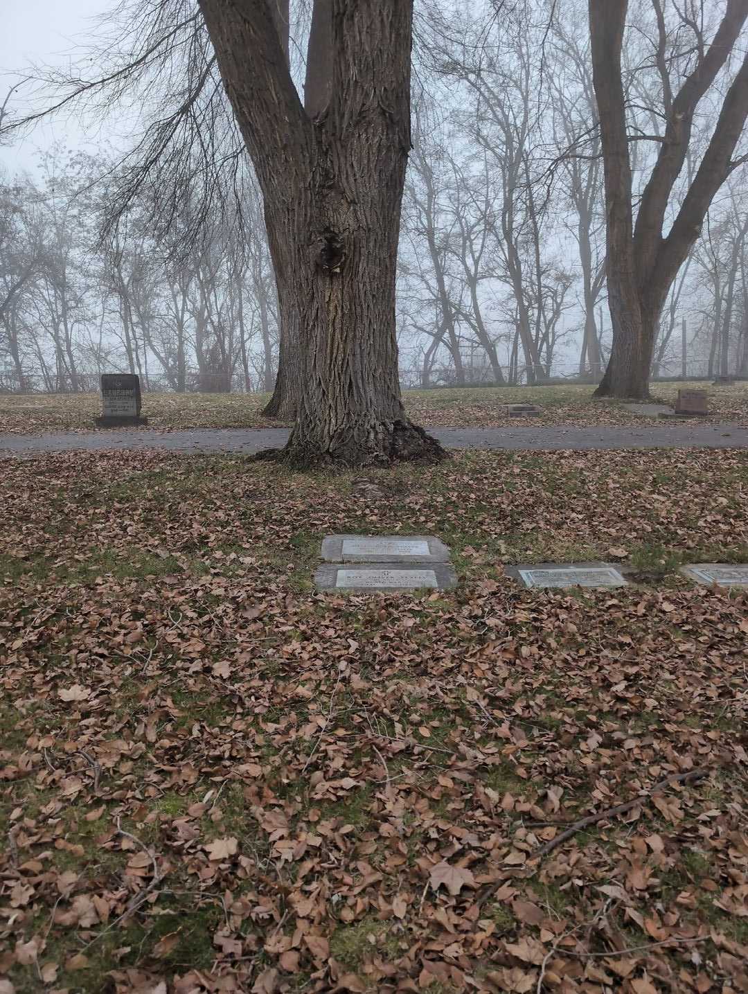 Helen Doris Yeatts's grave. Photo 4