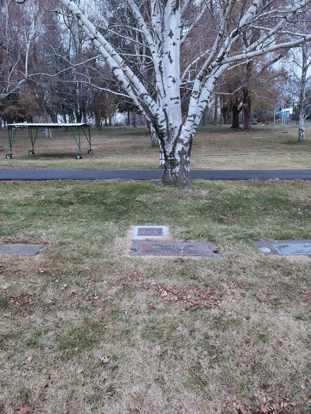 Florence R. Bretsch's grave. Photo 4