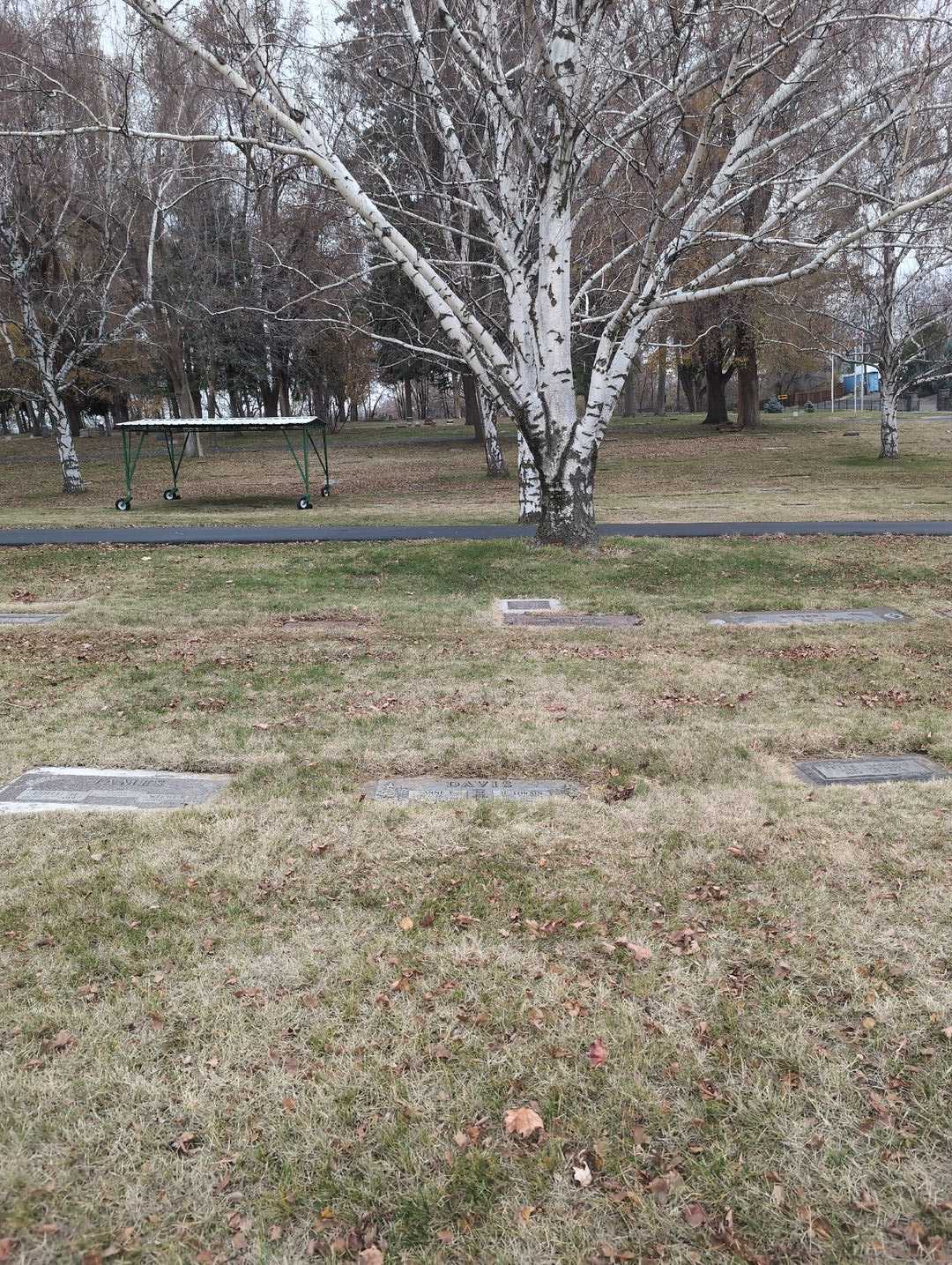 Vernon T. McCarty's grave. Photo 2