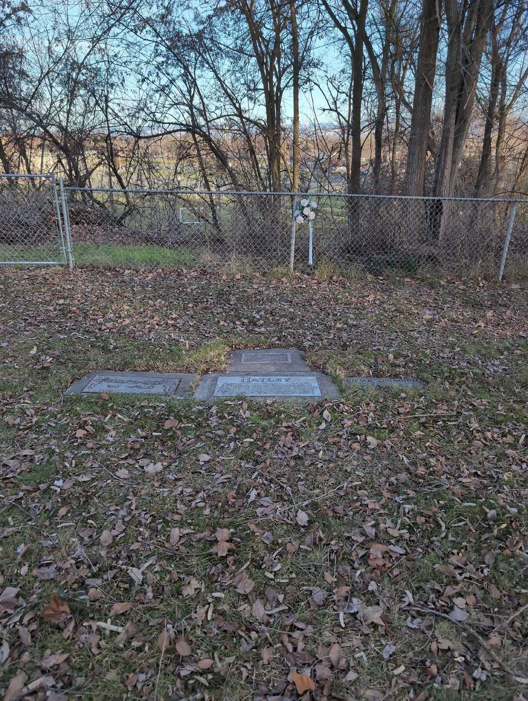 Kathleen L. Queen's grave. Photo 3