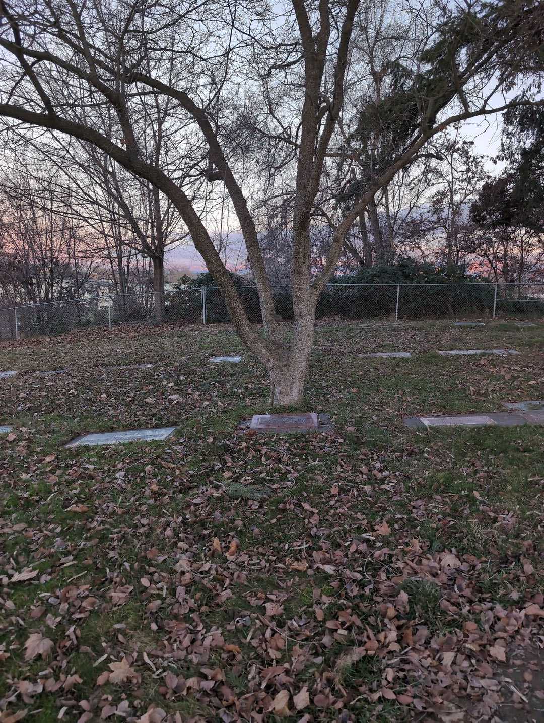 Mary Koorenny's grave. Photo 2