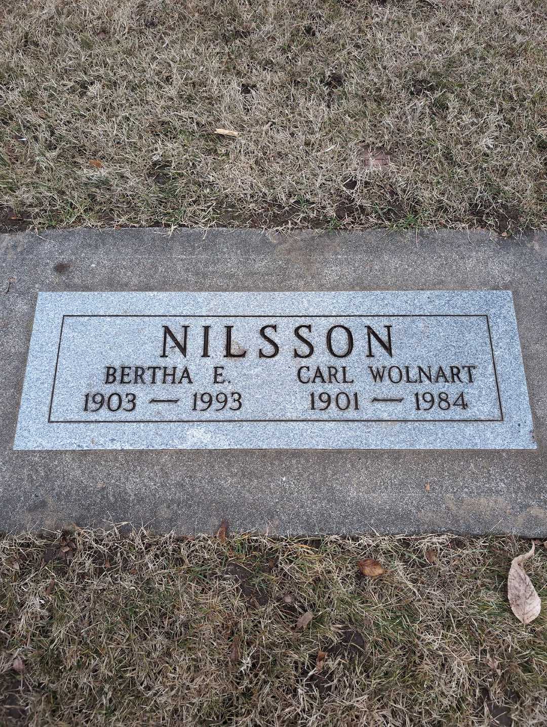 Carl Wolnart Nilsson's grave. Photo 3
