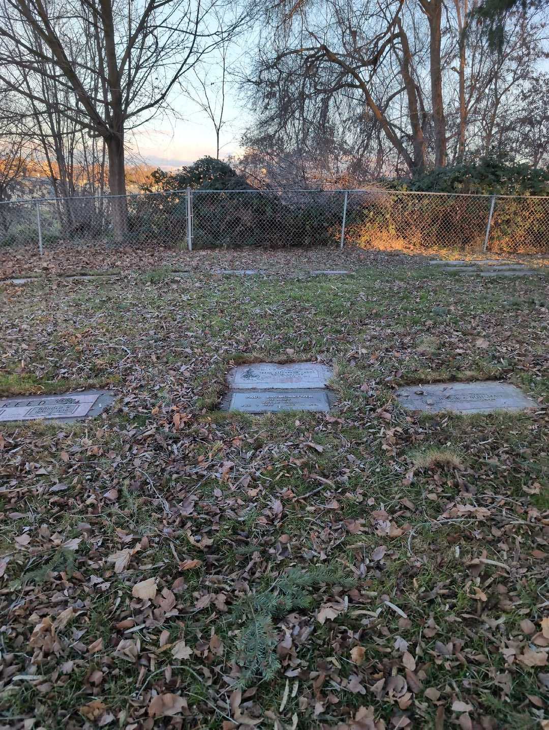 Irene Elizabeth Eadus Baumgartner's grave. Photo 4
